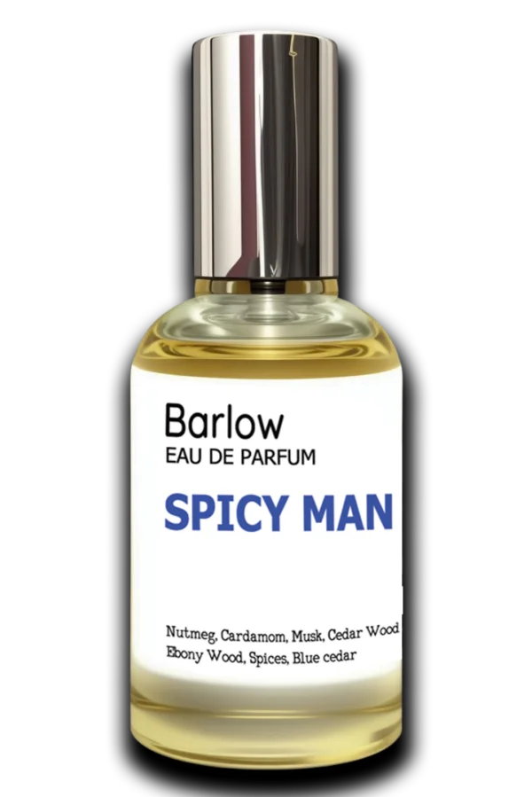 Spicy Man <p style="color: #D3D3D3;">Inspired of: For Him Bleu Noir</p>